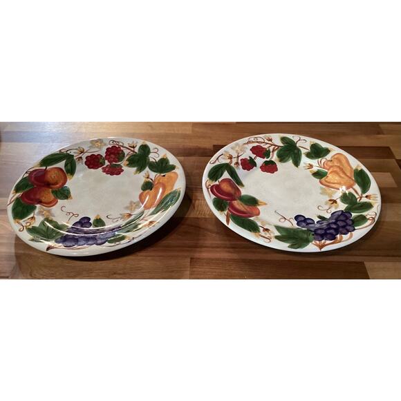 Hannah TableTops Unlimited Hand Painted Collection 11” Dinner Plates Set of 2 - Picture 1 of 10